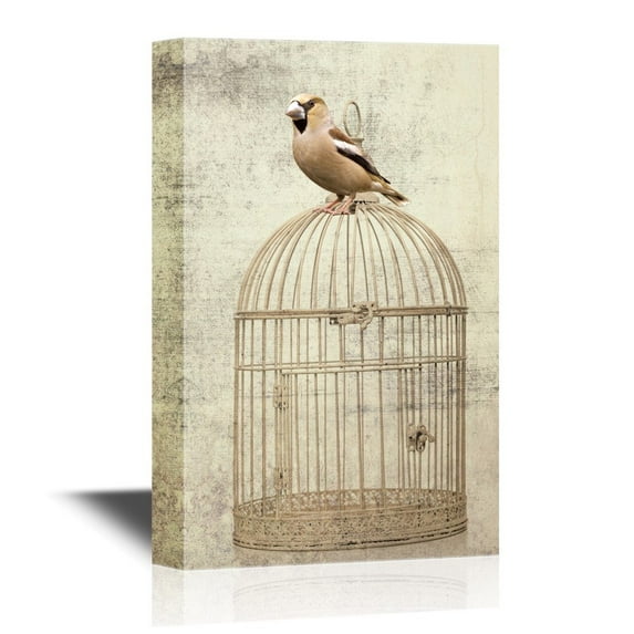 wall26 - Canvas Wall Art - Bird Sitting on Bird Cage on Vintage Background - Gallery Wrap Modern Home Art | Ready to Hang - 12x18 inches