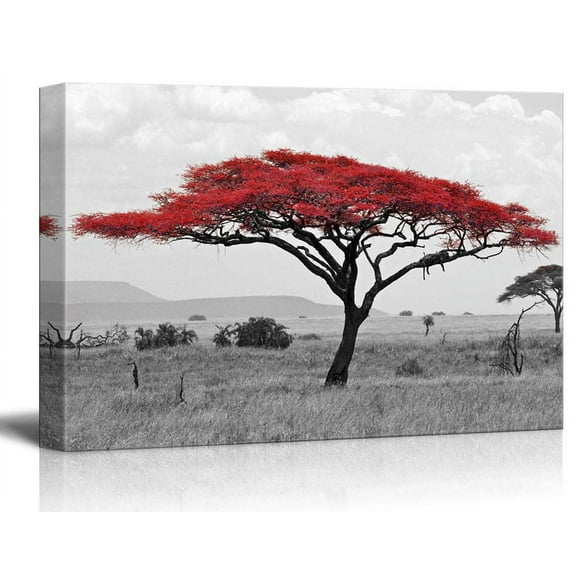 wall26 - Canvas Wall Art - Black and White African Savanna Background with Red Partial Color Acacia Tree Top - Giclee Print Gallery Wrap Modern Home Art Ready to Hang - 32x48 inches