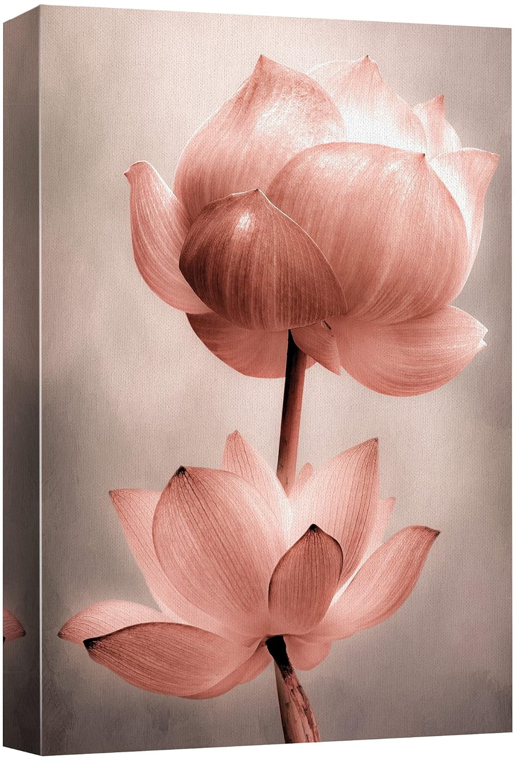wall26 Canvas Wall Art - Closeup of Lotus Flower - Gallery Wrap Modern ...
