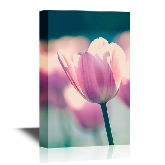 wall26 - Canvas Wall Art - Closeup of Pink Tulip Petal - Gallery Wrap Modern Home Art | Ready to Hang - 16x24 inches