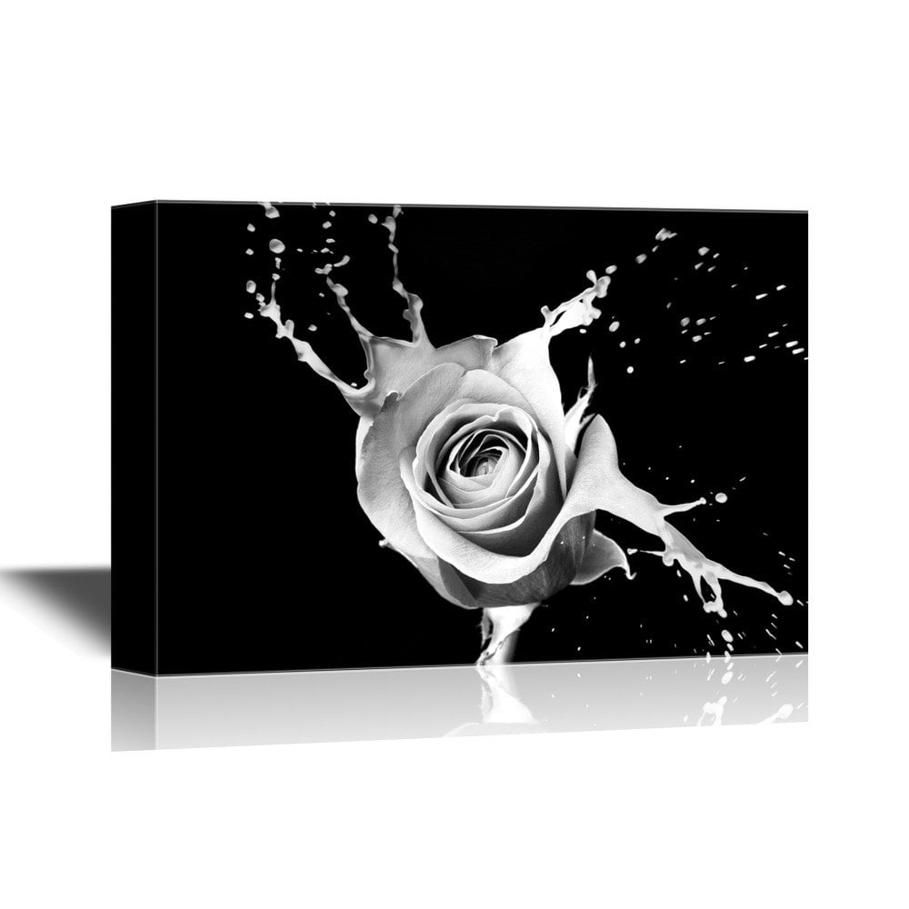 wall26 - Canvas Wall Art - Closeup of a Black and White Rose Petal with ...