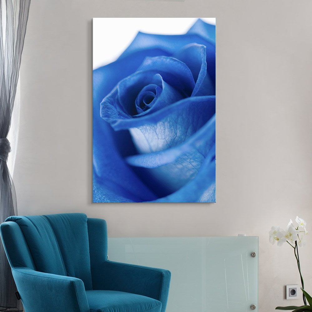 Blue Roses Images