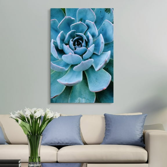 wall26 Canvas Wall Art - Closeup of a Blue Succulent Plant - Giclee Print Gallery Wrap Modern Home Art Ready to Hang - 24x36 inches