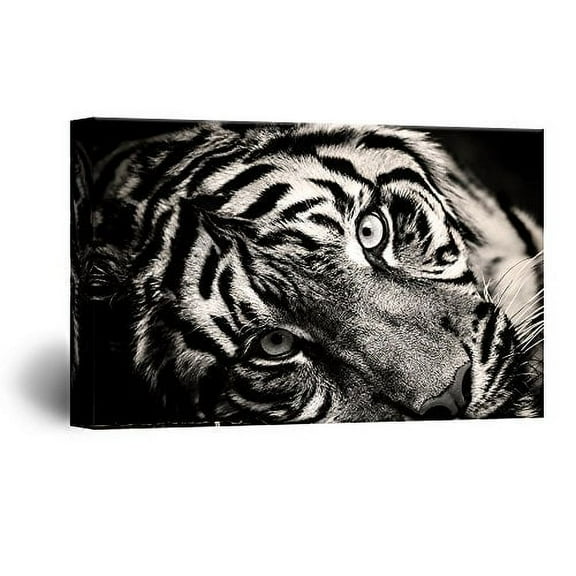 wall26 Canvas Wall Art - Closeup of a Tiger Head - Giclee Print Gallery Wrap Modern Home Art Ready to Hang - 32x48 inches