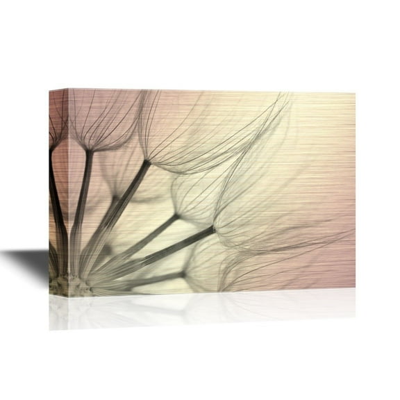 wall26 - Canvas Wall Art - Extreme Close-Up of Dandelion Black White - Gallery Wrap Modern Home Art | Ready to Hang - 12x18 inches
