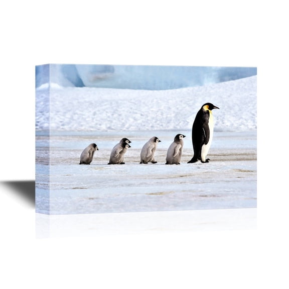 wall26 - Canvas Wall Art - Five Penguins - Gallery Wrap Modern Home Art | Ready to Hang - 32x48 inches
