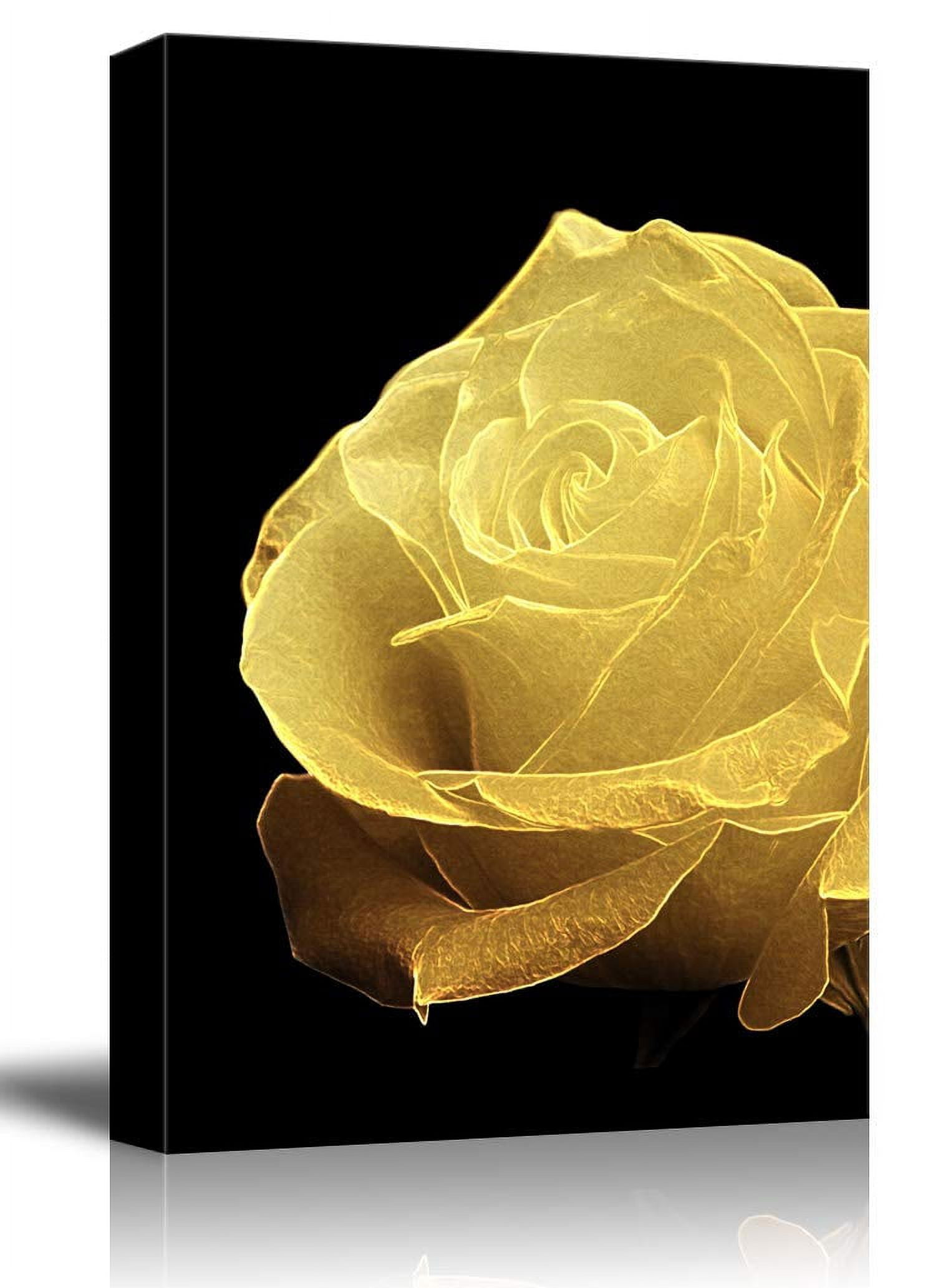 wall26 - Canvas Wall Art - Gold Rose Flower Petal on Black Background ...