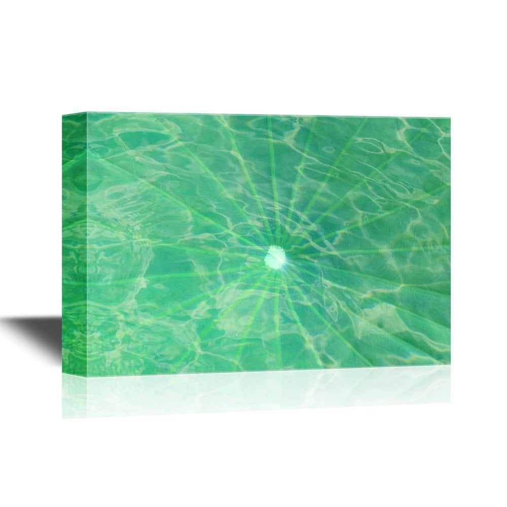 wall26 - Canvas Wall Art - Lotus Leaf Under Water Surface - Gallery ...