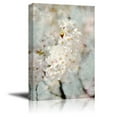 thumbnail image 1 of wall26 Canvas Wall Art - Oil Painting Style White Cherry Blossom in Spring - Giclee Print Gallery Wrap Modern Home Art Ready to Hang - 12x18 inches, 1 of 4