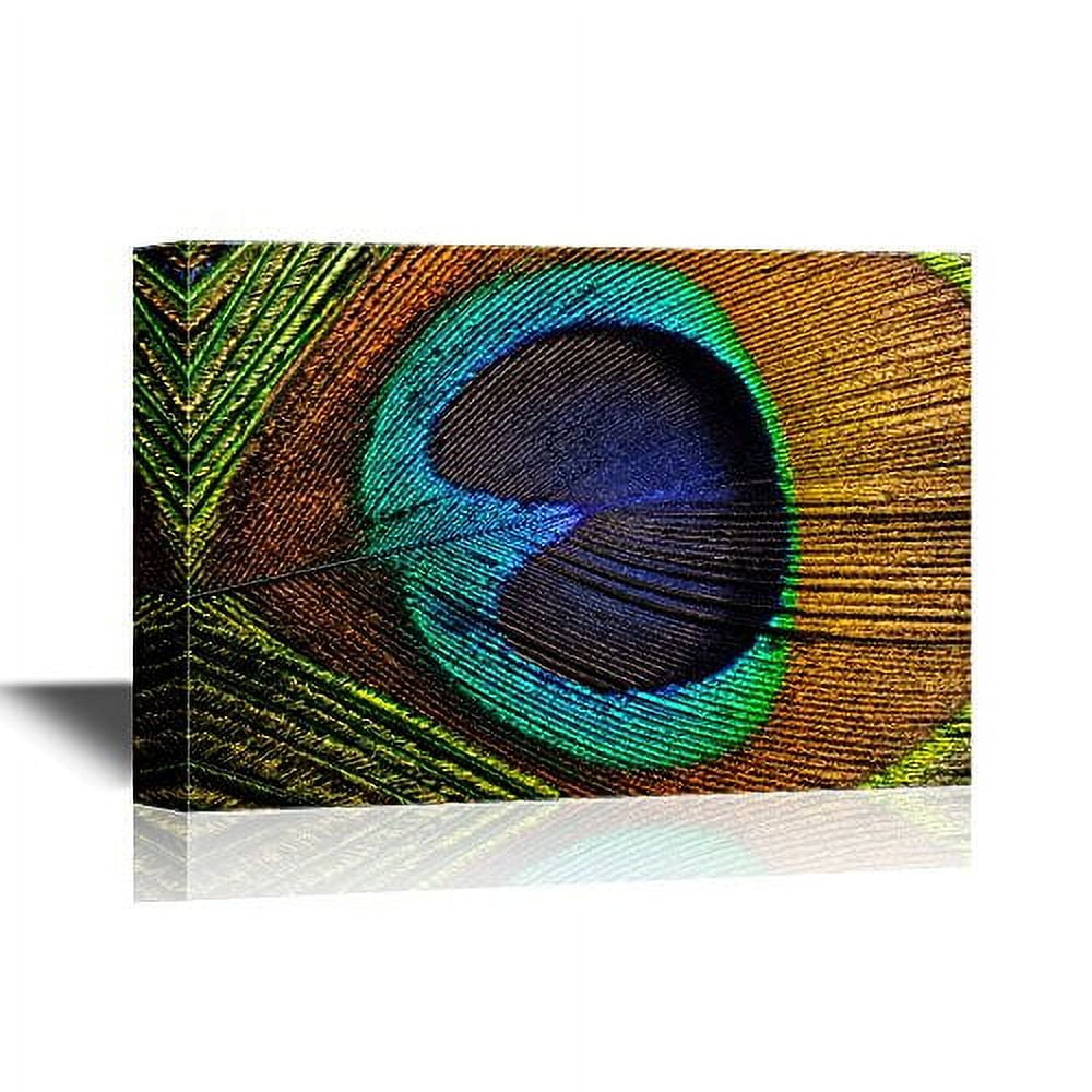 wall26 - Canvas Wall Art - Peacock Feather - Gallery Wrap Modern Home ...