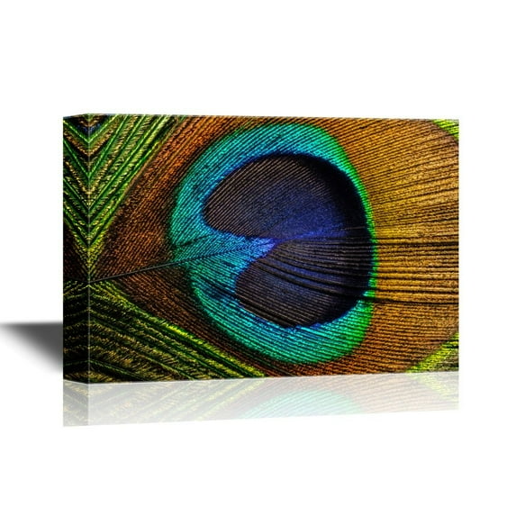 wall26 - Canvas Wall Art - Peacock Feather - Gallery Wrap Modern Home Art | Ready to Hang - 32x48 inches