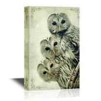 wall26 - Canvas Wall Art - Three Owls - Gallery Wrap Modern Home Art | Ready to Hang - 16x24 inches