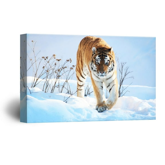 wall26 Canvas Wall Art - Tiger Walking on The Snow - Giclee Print Gallery Wrap Modern Home Art Ready to Hang - 12x18 inches