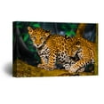 thumbnail image 1 of wall26 Canvas Wall Art - Tittle Leopards Playing on The Tree Branch - Giclee Print Gallery Wrap Modern Home Art Ready to Hang - 16x24 inches, 1 of 4
