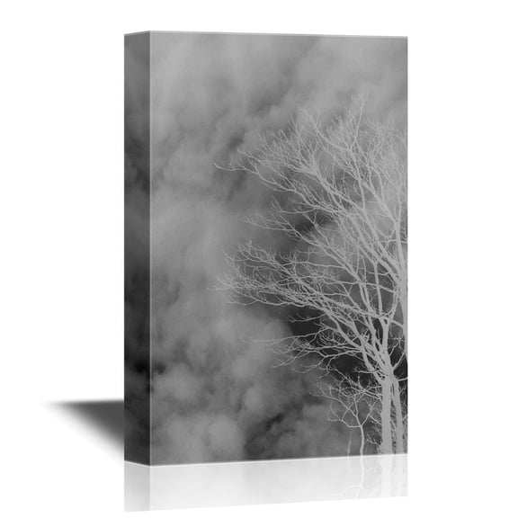 wall26 Canvas Wall Art - Tree Branches Against Cloudy Sky in Black and White - Gallery Wrap Modern Home Art | Ready to Hang - 24x36 inches
