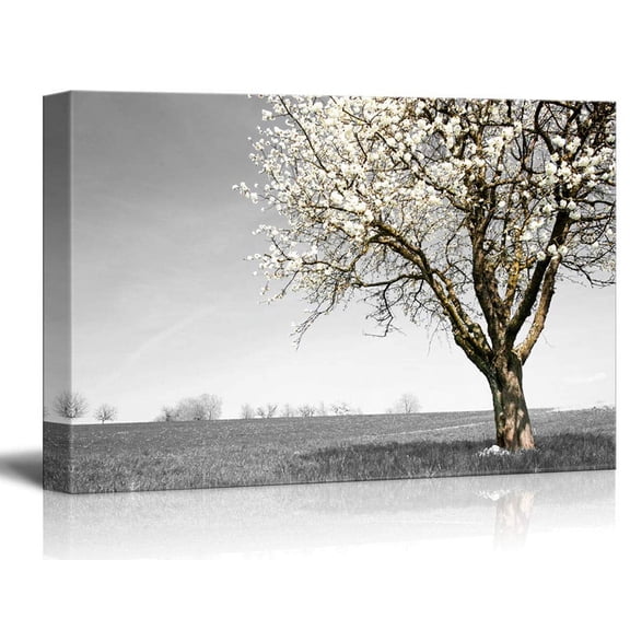 wall26 - Canvas Wall Art - Tree with White Flowers on Black and White Landscape - Giclee Print Gallery Wrap Modern Home Art Ready to Hang - 12x18 inches