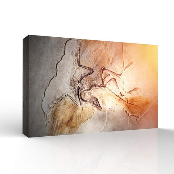 wall26 - Canvas Wall Art - Vintage Animal Fish Fossil Living Room Poster Prints - Modern Home Art Stretched and Framed Ready to Hang - 12x18 inches