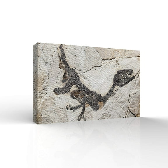 wall26 - Canvas Wall Art - Vintage Animal Fossil Living Room Poster - Modern Home Art Stretched and Framed Ready to Hang - 32x48 inches