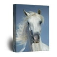 thumbnail image 1 of wall26 - Canvas Wall Art - White Horse Portrait - Giclee Print Gallery Wrap Modern Home Art Ready to Hang - 16x24 inches, 1 of 4