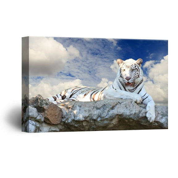 wall26 Canvas Wall Art - White Tiger Lying on The Rock - Giclee Print Gallery Wrap Modern Home Art Ready to Hang - 32x48 inches