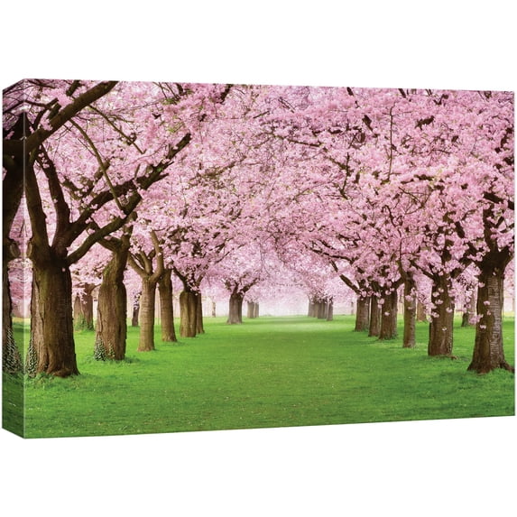 wall26 - Cherry Blossoms line Path - Canvas Art Home Art - 12x18 inches