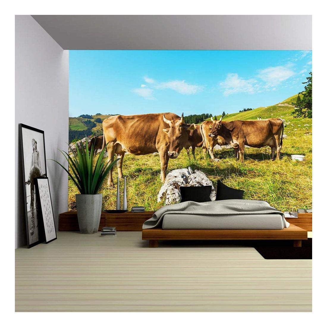 Dynamic Where Can I Buy A Whole Cow Moment Nature Dynamic Where Can I Buy A Whole Cow Moment Nature