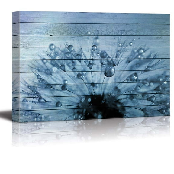 wall26 - Dandelion Covered in Rain Drops Over Blue Wood Panels - Canvas Art Home Art - 12x18 inches