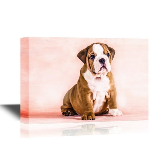 wall26 - Dogs Breeds Canvas Wall Art - English Bulldog Puppy - Gallery Wrap Pet Art for Modern Home Art | Ready to Hang - 24x36 inches