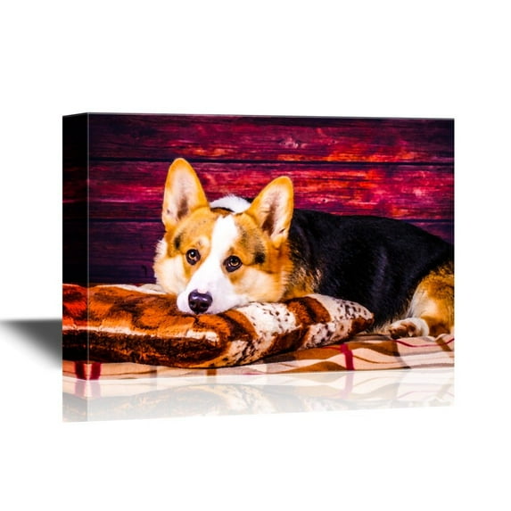 wall26 - Dogs Breeds Canvas Wall Art - Welsh Corgi Pembroke Dog - Gallery Wrap Pet Art for Modern Home Art | Ready to Hang - 16x24 inches