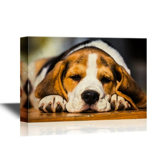 wall26 - Dogs Breeds Canvas Wall Art - Young Sleepy Beagle Puppy Lying on The Wood - Gallery Wrap Modern Home Art | Ready to Hang - 16x24 inches