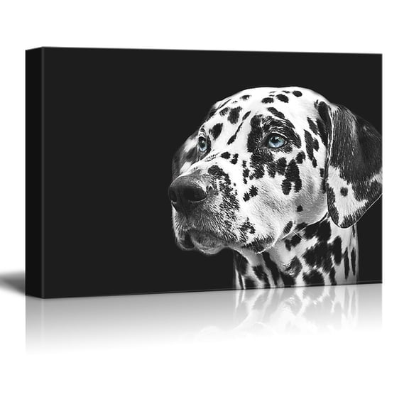 wall26 - Dogs Series Canvas Wall Art - A Dalmatian Spotty Dog Against Black Background - Giclee Print Gallery Wrap Modern Home Art Ready to Hang - 24x36 inches