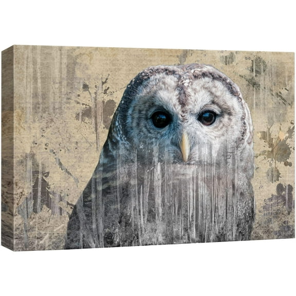 wall26 - Double Exposure Close Up of a Grey Barred Owl on a Rustic Style Canvas - Canvas Art Home Art - 32x48 inches