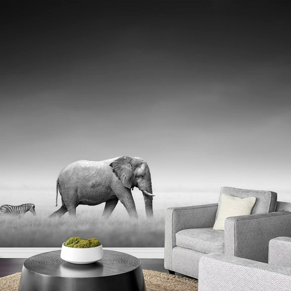 wall26 - Elephant with Zebra Behind on Open Plains of Etosha Artistic Processing - Removable Wall Mural | Self-Adhesive Large Wallpaper - 66x96 inches