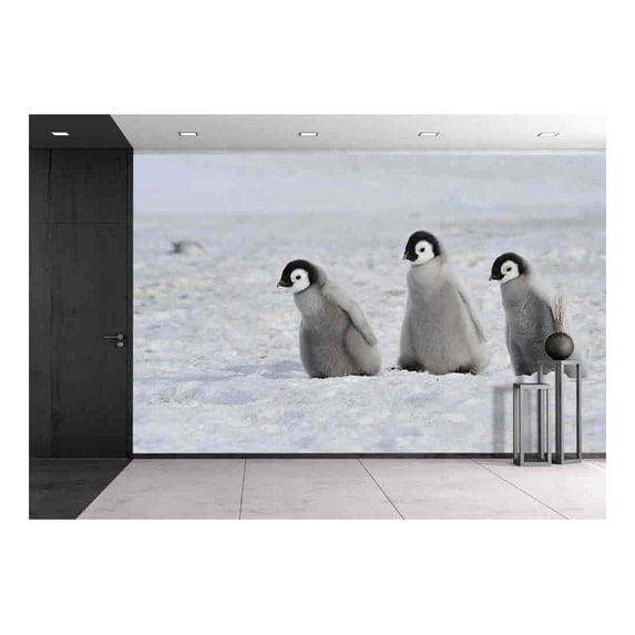 wall26 - Emperor Penguin Chicks Snow Hill, Antarctica 2010 on The Icebreaker Kapitan Khlebnikov - Removable Wall Mural | Self-Adhesive Large Wallpaper - 100x144 inches