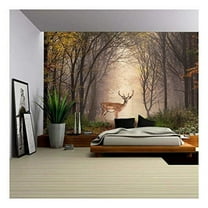 wall26 - Fallow Deer Standing in a Dreamy Misty Forest, with Beautiful Moody Light in The Middle and Framed by Darker Trees - Removable Wall Mural | Self-Adhesive Large Wallpaper - 66x96 inches