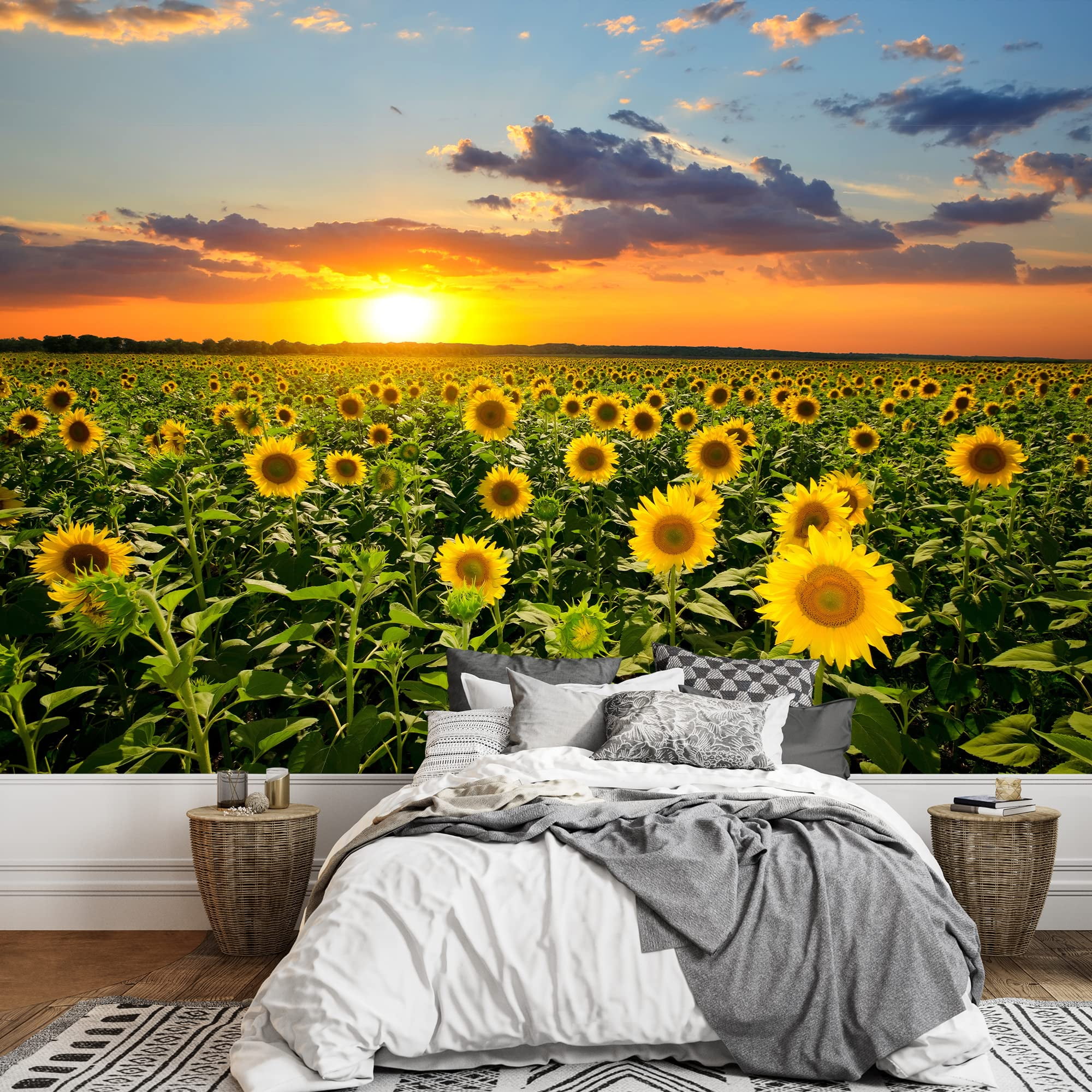 wall26 - Field of Blooming Sunflowers on a Background Sunset - Removable Wall Mural | Self-Adhesive Large Wallpaper - 100x144 inches
