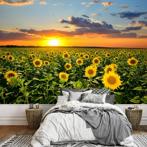 wall26 - Field of Blooming Sunflowers on a Background Sunset - Removable Wall Mural | Self-Adhesive Large Wallpaper - 66x96 inches