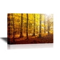 thumbnail image 1 of wall26 - Forest Canvas Wall Art - Fantasy Golden Sun Light in The Autumn Forest Landscape - Gallery Wrap Modern Home Art | Ready to Hang - 24x36 inches, 1 of 3