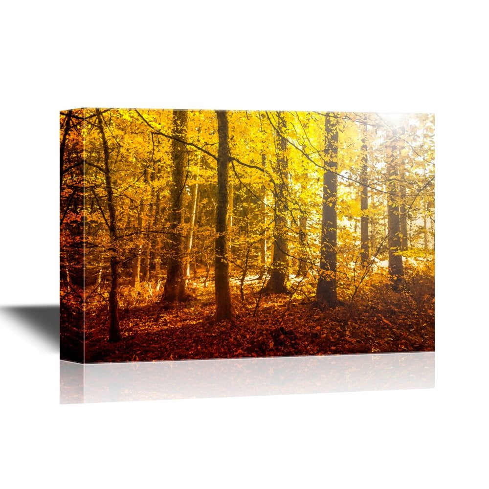 wall26 - Forest Canvas Wall Art - Fantasy Golden Sun Light in The ...