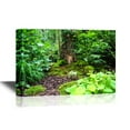 thumbnail image 1 of wall26 - Forest Canvas Wall Art - Little Fairy Tale Door in a Tree Trunk - Gallery Wrap Modern Home Art | Ready to Hang - 12x18 inches, 1 of 3