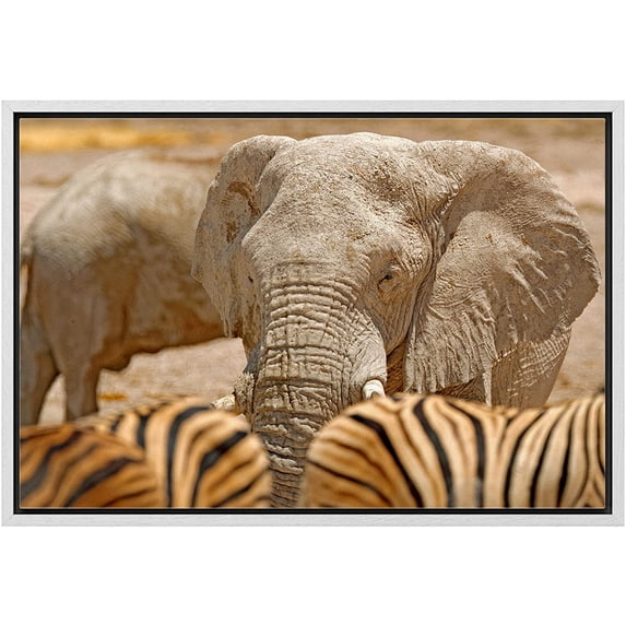 wall26 Framed Canvas Print Wall Art African Safari Elephants & Tiger Stripes Nature Animals Photography Realism Rustic Scenic Landscape Colorful for Living Room, Bedroom, Office - 24"x36&quo