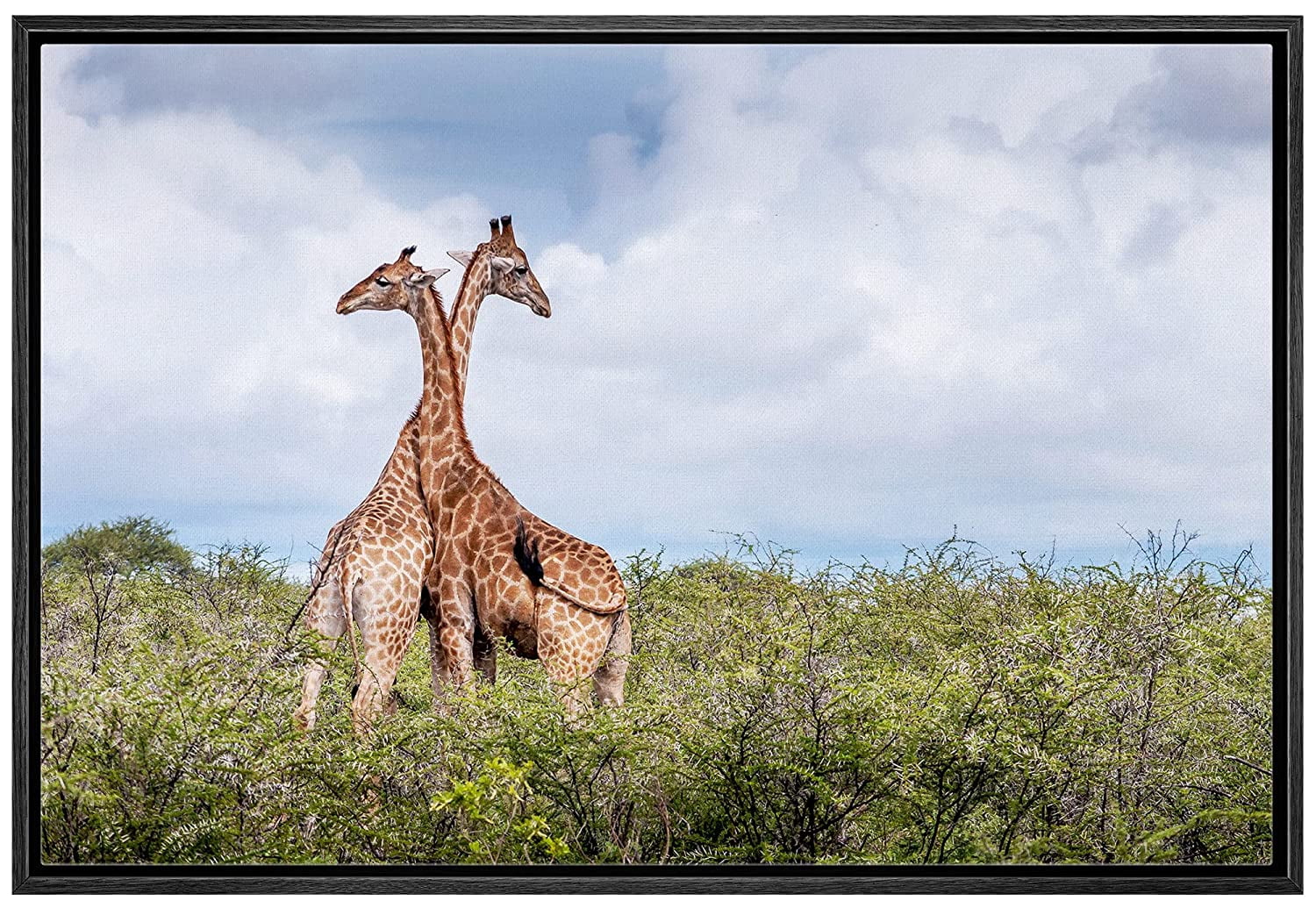 wall26 Framed Canvas Print Wall Art African Savanna Safari Jungle ...