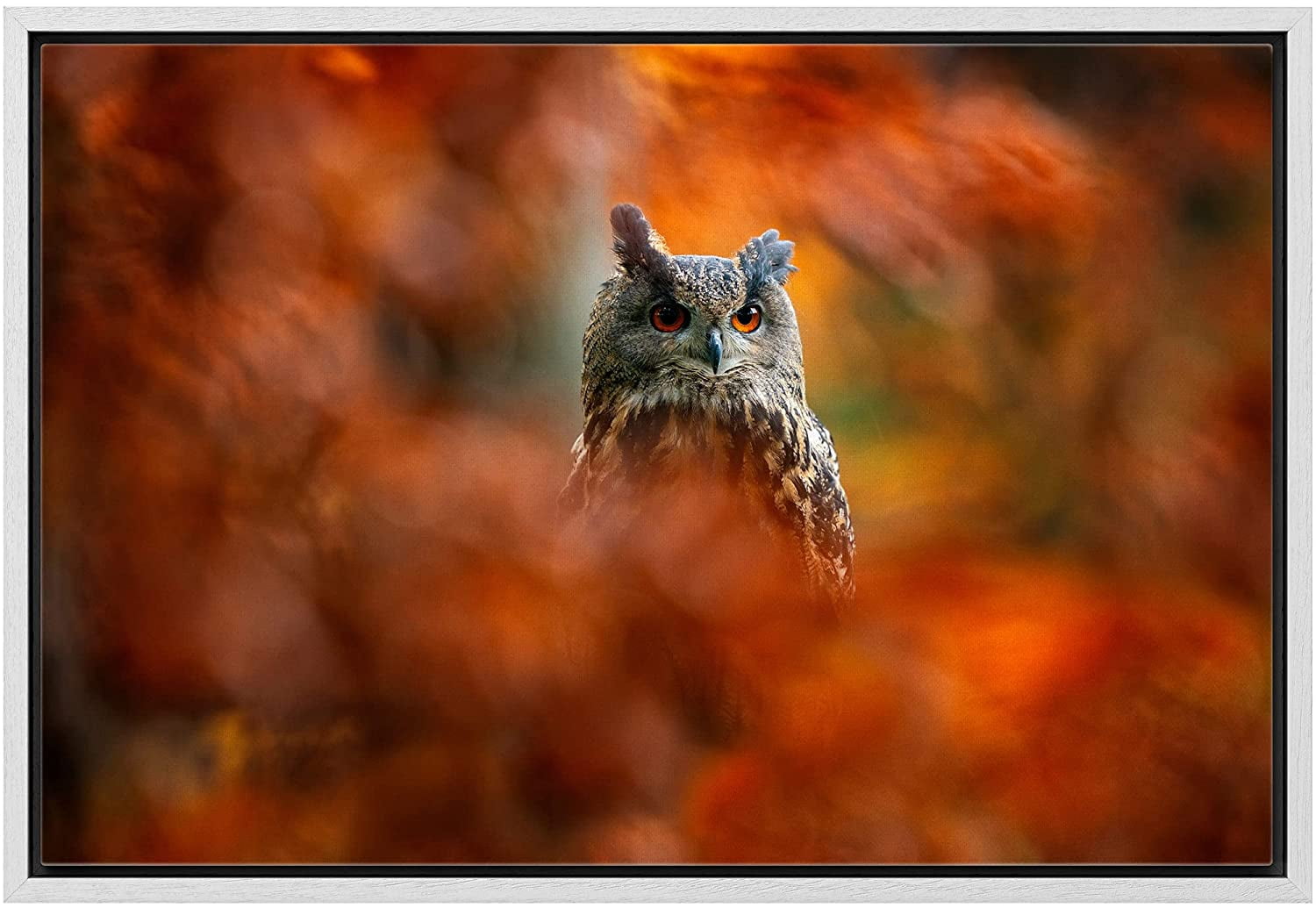 wall26 Framed Canvas Print Wall Art Autumn Fall Orange Leaf Close Up Owl  Bird Nature Animals Photography Realism Rustic Scenic Landscape Colorful  for Living Room, Bedroom, Office - 16\u0026quot;x24\u0026quot; - Walmart.com, image size:1500x1035