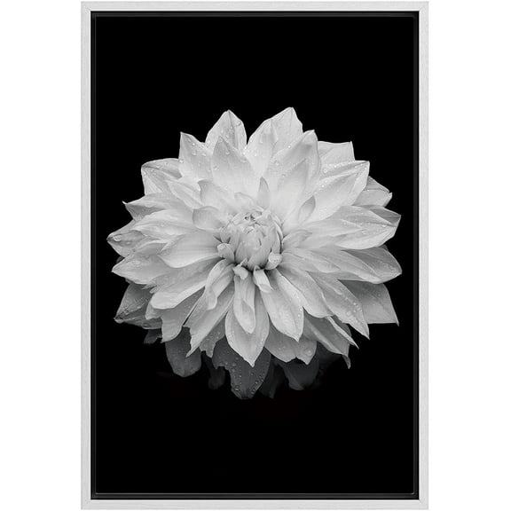 wall26 Framed Canvas Print Wall Art Blooming Dahlia Flower Close Up Nature Plants Photography Modern Art Rustic Scenic Dramatic Black and White for Living Room, Bedroom, Office - 16"x24" Wh