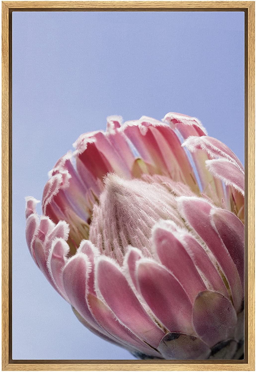wall26 Framed Canvas Print Wall Art Blooming Pink Rose Flower Cactus ...