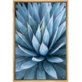 thumbnail image 1 of wall26 Framed Canvas Print Wall Art Blue Pastel Agave Desert Cactus Succulent Nature Wilderness Photography Realism Floral Botanical Multicolor for Living Room, Bedroom, Office - 16"x24" Na, 1 of 5