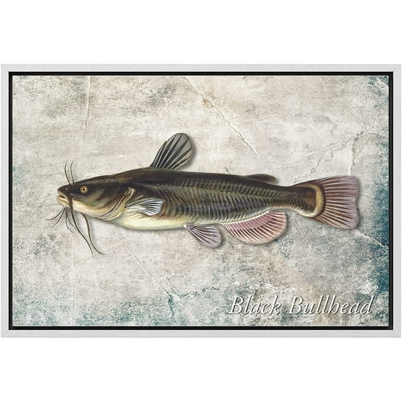 wall26 Framed Canvas Print Wall Art Bullhead Fish on Granite Background Marine Life Animals Digital Art Realism Nautical Scenic Colorful Ultra for Living Room, Bedroom, Office - 24"x36" Whi