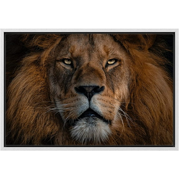 wall26 Framed Canvas Print Wall Art Close Up Detail African Safari Lion Portrait Nature Animals Photography Realism Rustic Scenic Landscape Colorful for Living Room, Bedroom, Office - 16"x24&quo