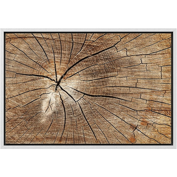 wall26 Framed Canvas Print Wall Art Close Up of Brown Tree Wood Rings Nature Wilderness Photography Rustic Modern Floral Relax/Calm Multicolor for Living Room, Bedroom, Office - 16"x24" Whi