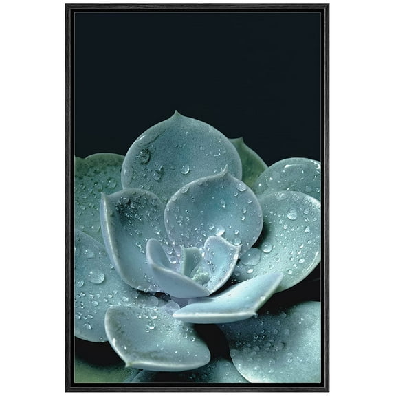 wall26 Framed Canvas Print Wall Art Close Up Detail Blue Rose Succulent Cactus Nature Wilderness Photography Realism Floral Botanical Multicolor for Living Room, Bedroom, Office - 16"x24" B